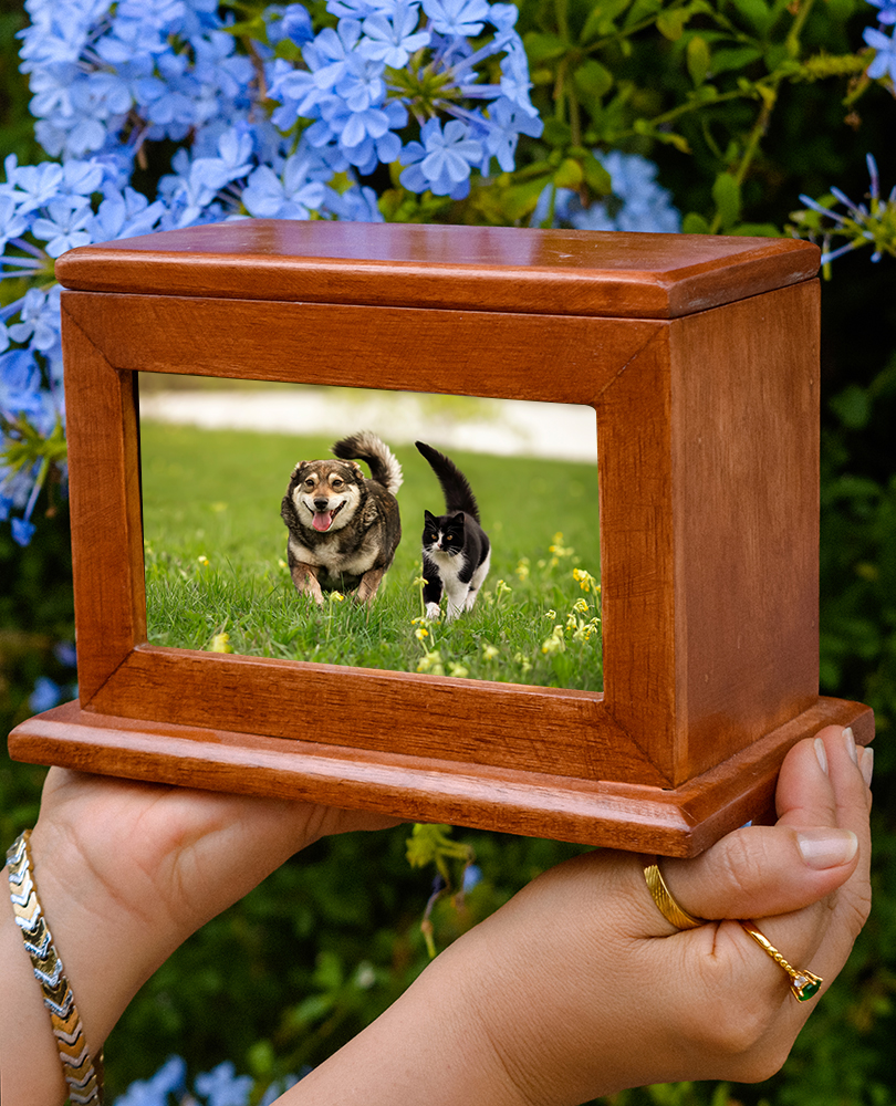 Pet_forever